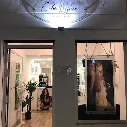 Peluqueria Celia Lizana