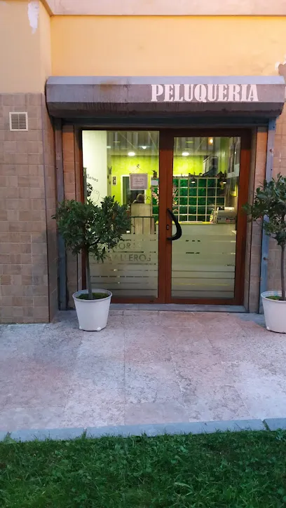 Peluqueria Damiam