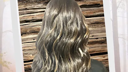 Peluquería Desi Muñoz