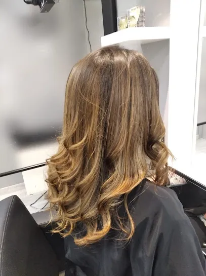 Peluquería dificil no salir + Wap@