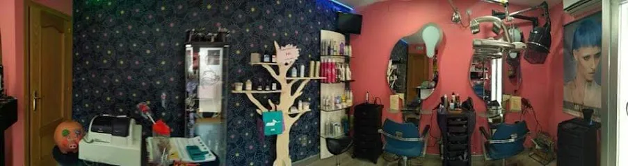 Peluqueria Elena | C. Pino, 1