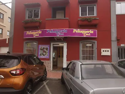 Peluqueria Emi