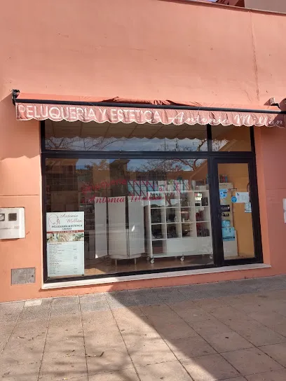 Peluqueria Estetica Antonia Millán