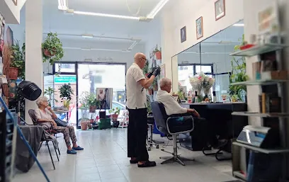 Peluquería Estilista