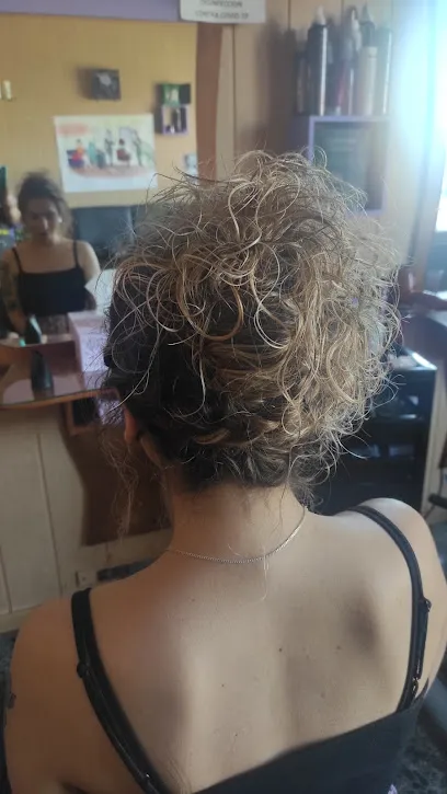 Peluqueria Estylo