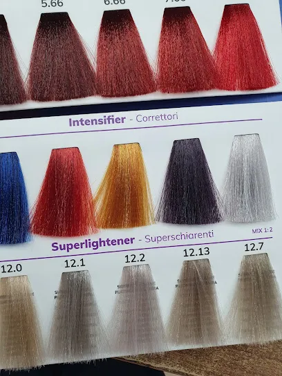 Peluqueria Expertos en belleza