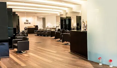 Peluquería Gala Group