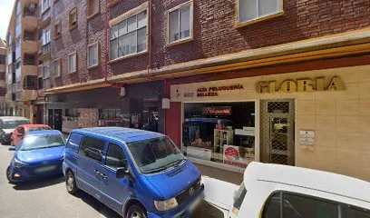 Peluquería Gloria S L