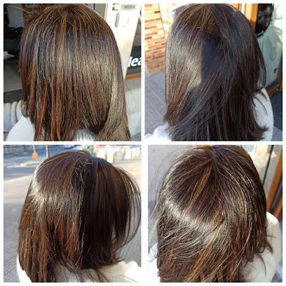 PELUQUERIA GURE AMETSA MIXTA