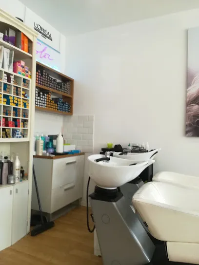 Peluquería Ibañez Navarro Estilistas