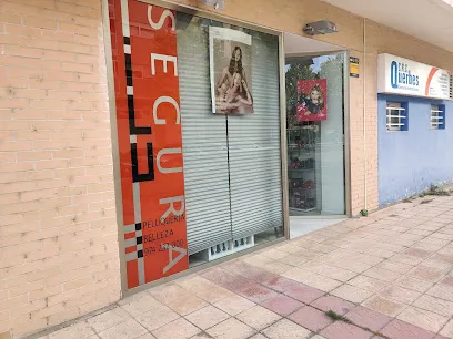 Peluquería Ilu Segura