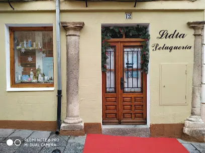 Peluqueria Lidia
