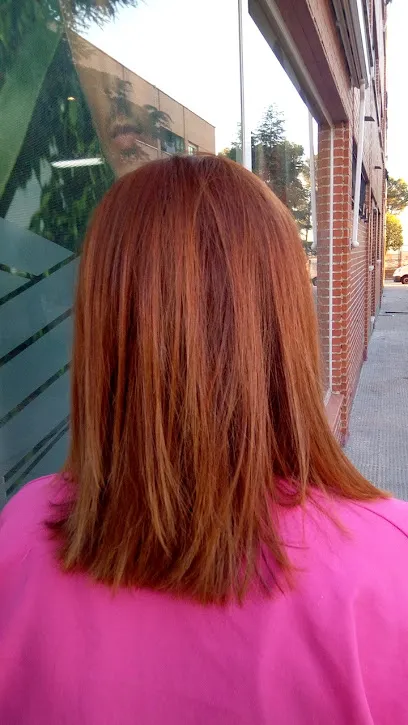 Peluqueria Lourdes