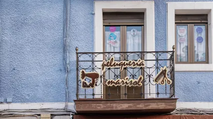 Peluqueria Marisol - Ortuella