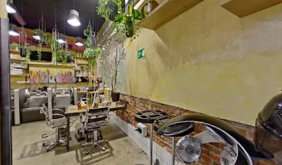Peluquería Mirta F del Blanco