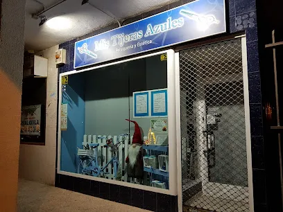 Peluquería Mis Tijeras Azules