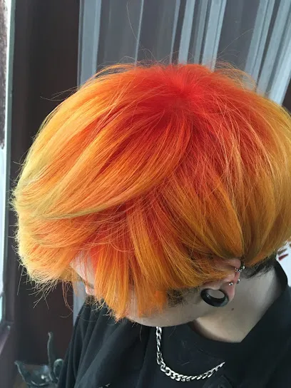 Peluquería Mixta Azucena Vega