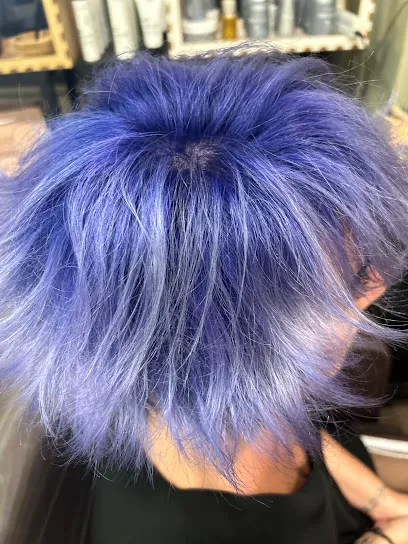 PELUQUERIA MODELS