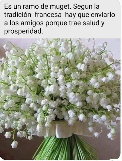 Peluquería Newbel