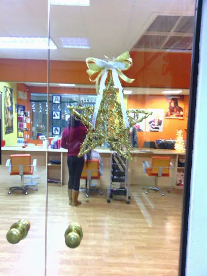 Peluqueria Nieves Gallery