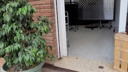 Peluqueria Nou traç de Juli Puigvert