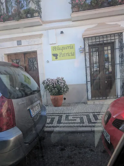 Peluqueria Patricia