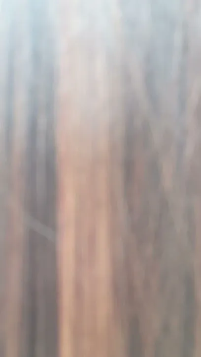 Peluquería Paula