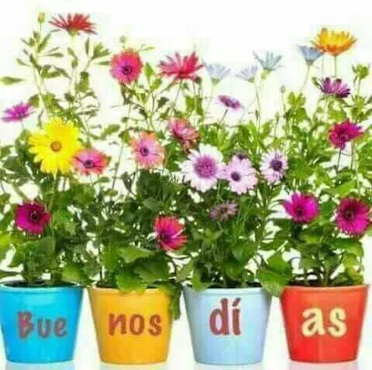 Peluquería Pepi