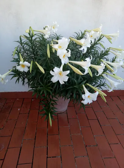 Peluquería Pilar Rovira