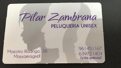 Peluquería Pilar Zambrana