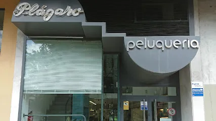 Peluquería Plágaro | Arlanzón