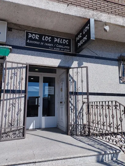 Peluquería "Por los Pelos "