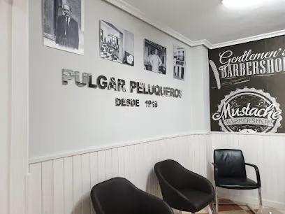 Peluquería Pulgar