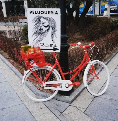 Peluquería Rosa | Plaza del Arrabal