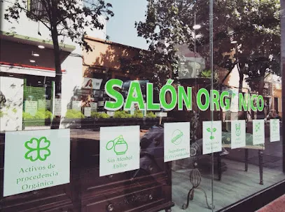 Peluquería Showroom hairdessers
