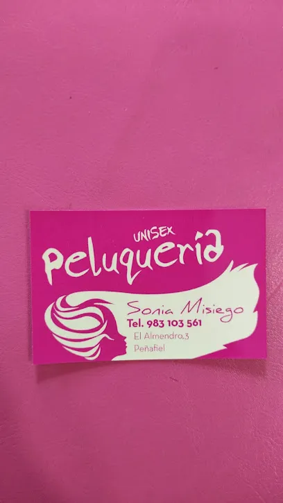 Peluquería Sonia Misiego