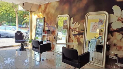 Peluqueria Stella Style