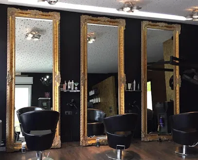Peluquería STUDIO 54