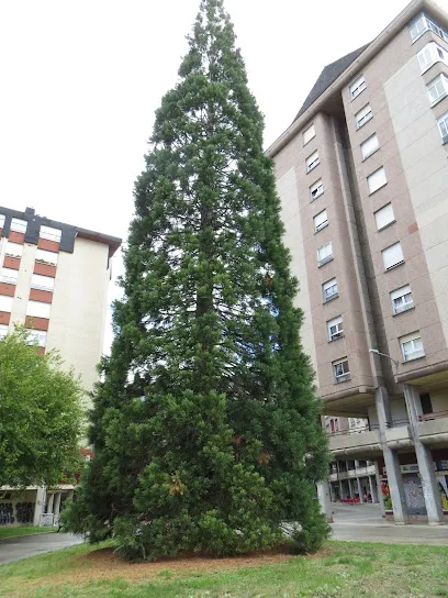 Peluquería "Stylo"
