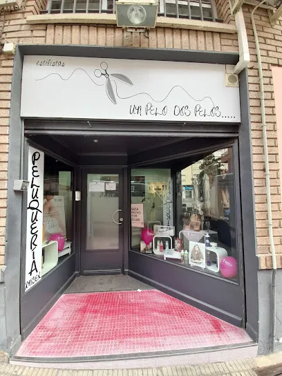 Peluqueria un pelo dos pelos