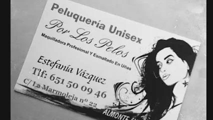 Peluquería Unisex Por Los Pelos