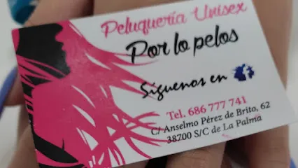 Peluquería unisex por los pelos