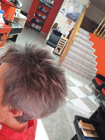 Peluqueria Unisex Virginia