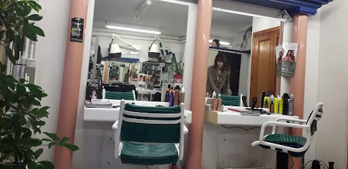 Peluquería Venus Jaca S L