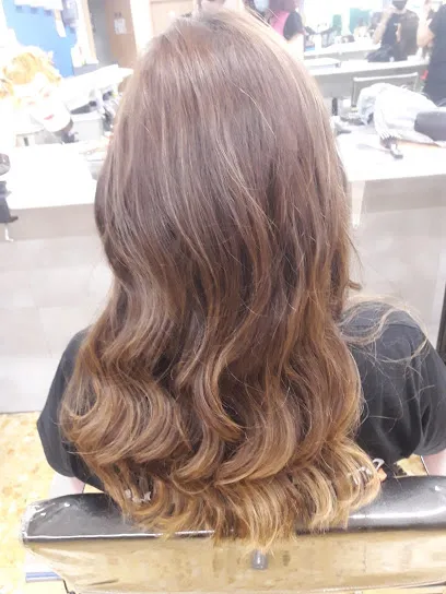 Peluqueria Veronica Castillo