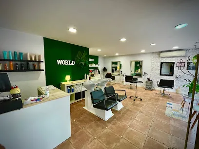 Peluquería "World Estilistas "