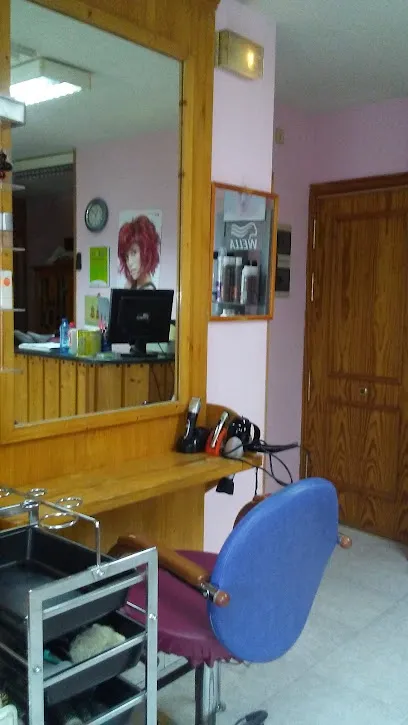 Peluqueria y Estética Alicia