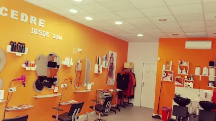 Peluquería y Estética Cedre