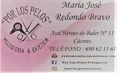 Peluquería y Estética "POR LOS PELOS"
