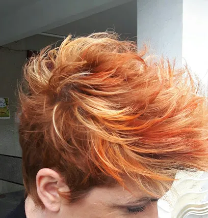 Peluqueria"la plaza"susana semedo